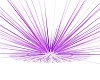 purple spike light