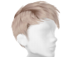 Blond hair