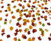 fall floor leaves
