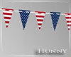 H. 4th of July Banner