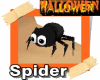 llzM.. Spider - Pet