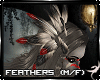 !F:Kuma: Feathers V1