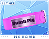 [MO] Dumb Pig Collar F