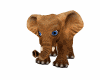 ~H~Baby Elephant 2