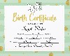 Igypt Birth Certificate