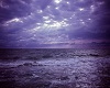 Purple Ocean Pic 1