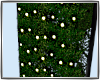 Ivy Screen Lights