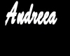 Andreea Necklaces-DJ-