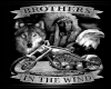 brothers in the wind pic