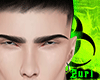 Z! Brows Finin
