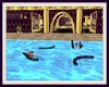 GGQ pool float