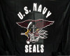 Navy Seals3