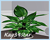 Family Realistic Plant