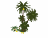 palmeiras