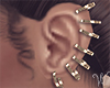 Heavin Gold Earrings
