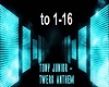 Tony Junior-Twerk Anthem