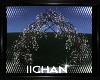 C"Wedding Arch