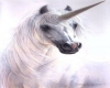 White unicorn