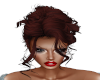 TEF BENOT BROWN UPDO