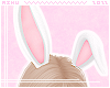 m. Bunny Ears White