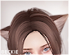 Brown Cat Ears