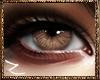 Eyes1 Brown -Z-