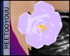 [w]lavender rose