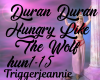 DD-Hungry Like The Wolf