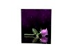 purple rose picture