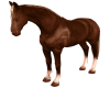 Animated Laying Horse