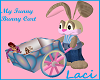 ~My Funny Bunny Cart~