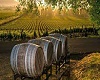 Winery Photo