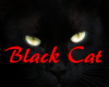 "MM"Black Cat pillow