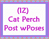Cat Perch Post wPoses