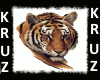 Tiger pic 4