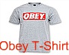 Obey T-Shirt Grey