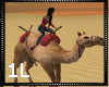 !1L Desert Camel Anim.
