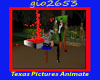 TEXAS PICTURES ANIMATE