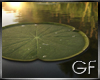 GF | Lilypad