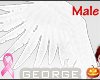 Animated Angel Wings M&F