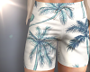 Summer Shorts v3