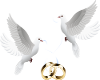 DOVES AN RINGS TRP STCKR