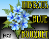 HIBISCUS BLUE BOUQUET
