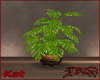 *Kat*H'sDesire Plant 2