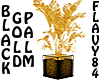 [F84] Black Gold Palm
