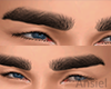 sk. TH Eyebrows