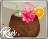 Rus: coconut tropical