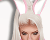 Bunny  EARS Pink