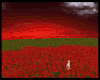 Rose field ambient room