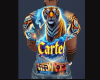 [CRT] Tiger
